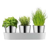WMF - Gourmet - Zestaw 3 doniczek na zioła